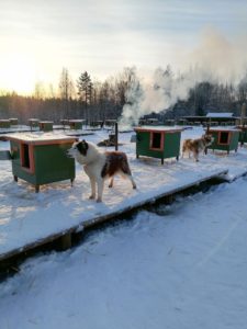 Деревня Киндасово, размещение в Петрозаводске