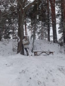 Деревня Киндасово, размещение в Петрозаводске