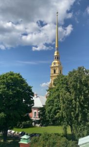 История, главные здания и каналы Петербурга