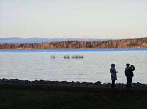 Парк Монрепо, усадьба Киискиля, дегустация пива, местный рынок