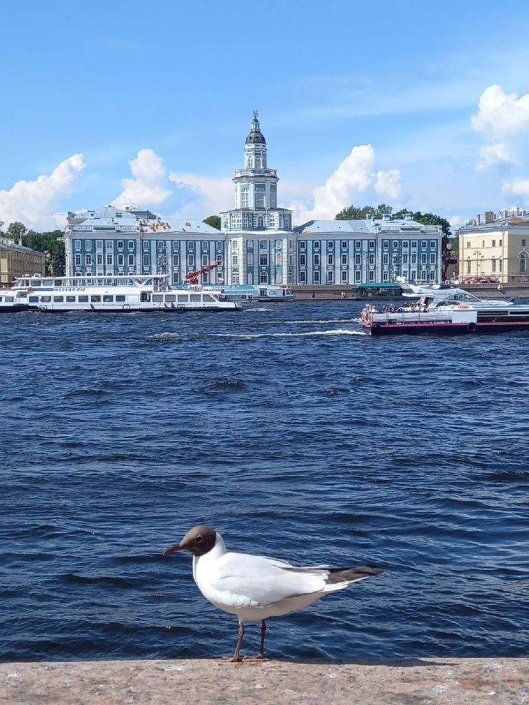 Петербург с борта катера: водная прогулка 3