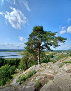 Приозерск, Куркийоки-Лумиваара, Лахденпохья