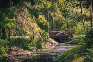 Свободная программа