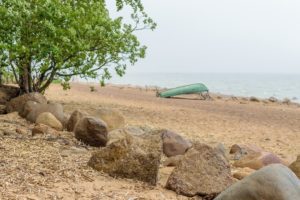 Свободная программа