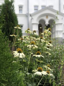 Валаам, прогулка по Ладожским шхерам, переезд в Петрозаводск