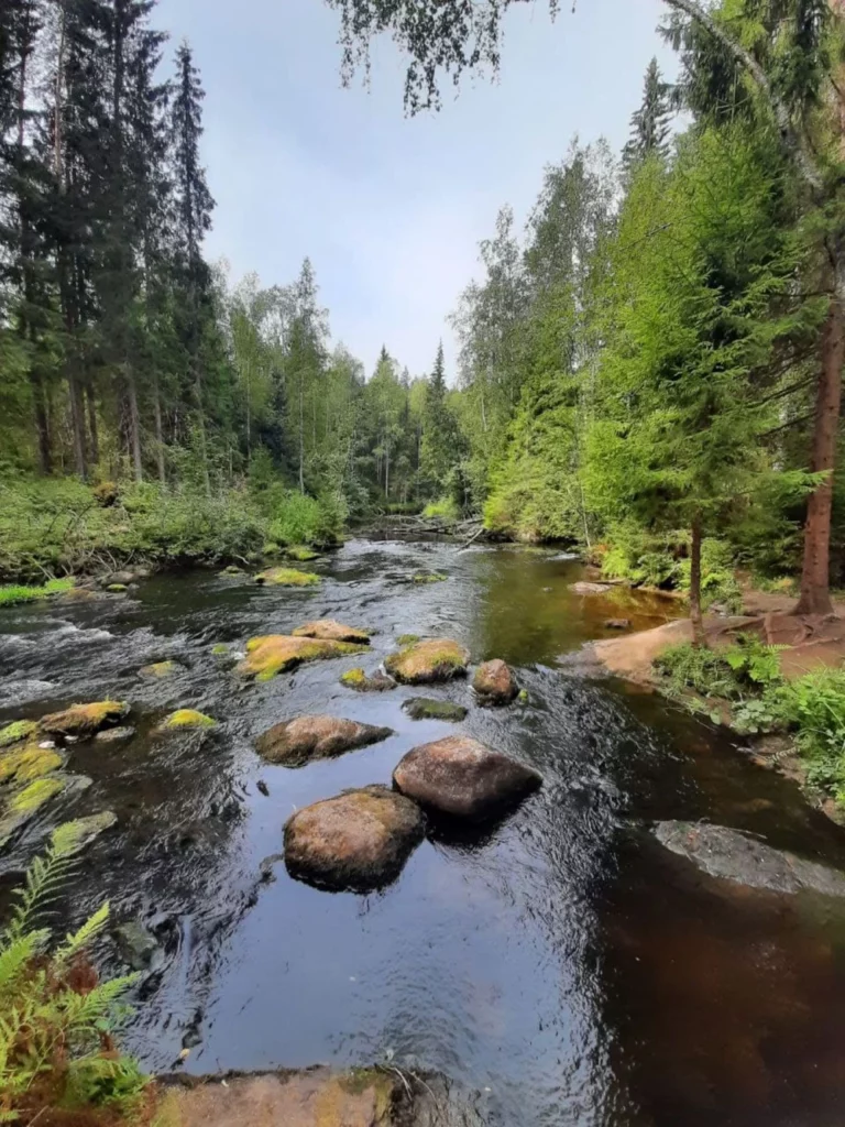 В карельский экопарк «Долина водопадов» — из Петербурга 5